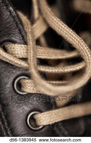 Close Up View Large Photo Image Stock Photography - Close Up. Fotosearch