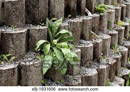 Close up texture of grey concrete Brick View Large Photo Image Stock Photograph - Close up texture of grey concrete Brick. Fotosearch