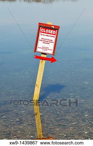 Closed to all shellfishing sign with red arrow posted in the water at a Cape Cod Harbor USA View Large Photo Image Stock Photo - Closed to all shellfishing sign with red arrow posted in the water at a Cape Cod Harbor USA. Fotosearch
