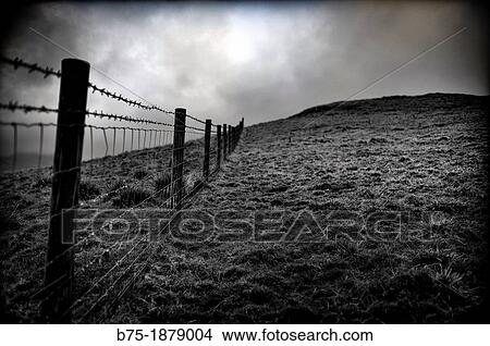 Closeup of a protective fence wire View Large Photo Image Picture - Closeup of a protective fence wire. Fotosearch