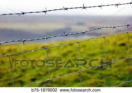 Closeup of a protective fence wire View Large Photo Image Stock Image - Closeup of a protective fence wire. Fotosearch