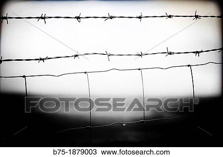 Closeup of a protective fence wire View Large Photo Image Stock Image - Closeup of a protective fence wire. Fotosearch