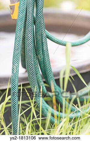 Stock Photograph - Closeup of garden tool Hose and sprinkler. Fotosearch