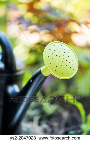 Closeup of plastic watering can in garden at summer. View Large Photo Image Stock Photo - Closeup of plastic watering can in garden at summer.. Fotosearch