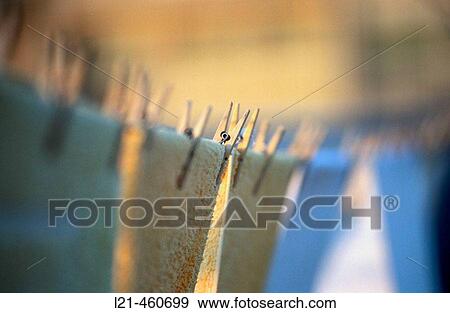 Clothespins View Large Photo Image Stock Photo - Clothespins. Fotosearch