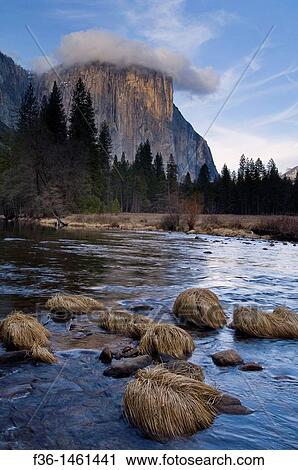 Cloud at sunset obscures the summit of El Capitan over the Merced River, Yosemite Valley, Yosemite National Park, California View Large Photo Image Stock Image - Cloud at sunset obscures the summit of El Capitan over the Merced River, Yosemite Valley, Yosemite National Park, California. Fotosearch