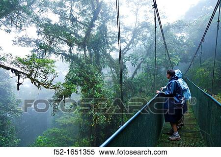 Stock Photography - Cloud forest, Monteverde Region, Costa Rica, Central America, America. Fotosearch