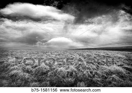 Stock Photograph - Clouds, Field, Yorkshire Dales, England, UK. Fotosearch