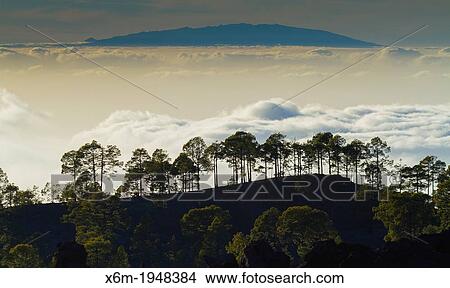 Picture - Clouds sea. Teide National Park. Tenerife island, Canary Islands, Atlantic Ocean, Spain.. Fotosearch