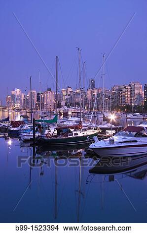 COAL HARBOUR FROM ROYAL VANCOUVER YACHT CLUB STANLEY PARK DOWNTOWN SKYLINE VANCOUVER BRITISH COLUMBIA CANADA View Large Photo Image Picture - COAL HARBOUR FROM ROYAL VANCOUVER YACHT CLUB STANLEY PARK DOWNTOWN SKYLINE VANCOUVER BRITISH COLUMBIA CANADA. Fotosearch