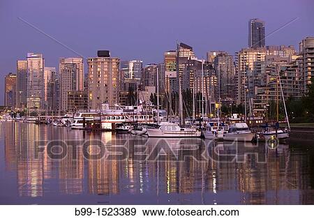 COAL HARBOUR FROM STANLEY PARK DOWNTOWN SKYLINE VANCOUVER BRITISH COLUMBIA CANADA View Large Photo Image Stock Photo - COAL HARBOUR FROM STANLEY PARK DOWNTOWN SKYLINE VANCOUVER BRITISH COLUMBIA CANADA. Fotosearch