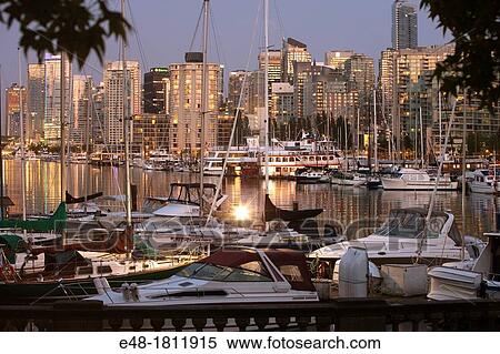 COAL HARBOUR FROM STANLEY PARK DOWNTOWN SKYLINE VANCOUVER BRITISH COLUMBIA CANADA View Large Photo Image Stock Photography - COAL HARBOUR FROM STANLEY PARK DOWNTOWN SKYLINE VANCOUVER BRITISH COLUMBIA CANADA. Fotosearch