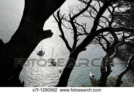 Coast between Tossa de Mar and Sant Feliu de Gu? xols. Costa Brava, Girona province, Catalonia, Spain. View Large Photo Image Stock Image - Coast between Tossa de Mar and Sant Feliu de Gu? xols. Costa Brava, Girona province, Catalonia, Spain.. Fotosearch