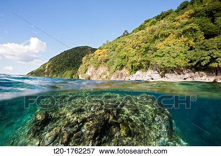 Coast of Dominica, Caribbean Sea, Dominica View Large Photo Image Stock Photo - Coast of Dominica, Caribbean Sea, Dominica. Fotosearch
