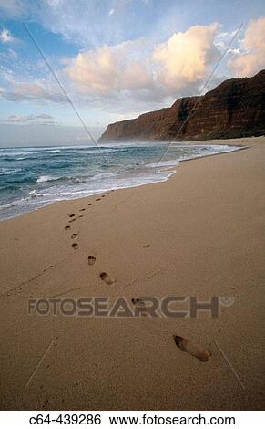 Coast of Na Pali. Tracks on the beach. Kauai island. Hawaii View Large Photo Image Stock Photograph - Coast of Na Pali. Tracks on the beach. Kauai island. Hawaii. Fotosearch
