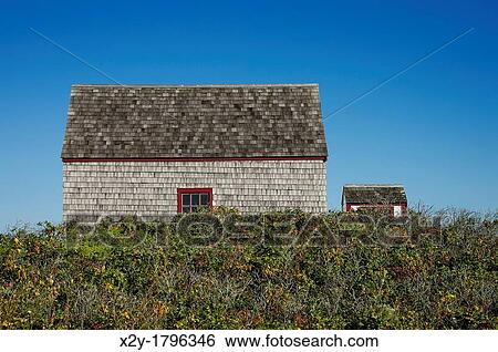 Coastal cottage, Cape Cod, USA View Large Photo Image Stock Photograph - Coastal cottage, Cape Cod, USA. Fotosearch