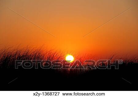 Coastal sunrise, Cape Cod, MA, USA View Large Photo Image Stock Photo - Coastal sunrise, Cape Cod, MA, USA. Fotosearch