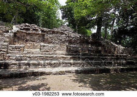 Stock Image - CobB: Mayan Archeological Ruins at Yucatan Peninsula.. Fotosearch