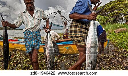 cochin Chinese fishing nets, India. View Large Photo Image Stock Image - cochin Chinese fishing nets, India.. Fotosearch