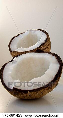 Stock Image - Coconut. Fotosearch