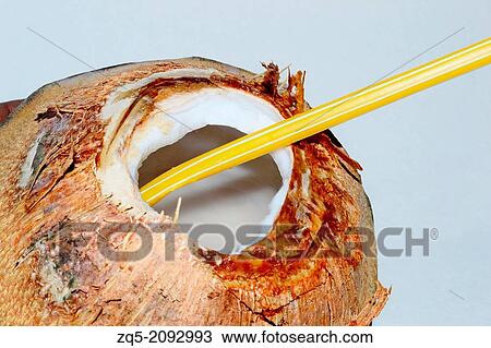 Coconut with straw, India. View Large Photo Image Stock Image - Coconut with straw, India.. Fotosearch