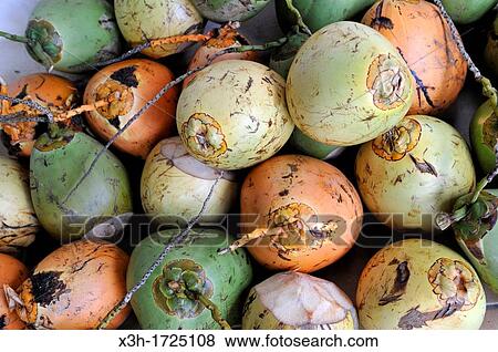 coconuts, Martinique, french island overseas region and department in the Lesser Antilles in the eastern Caribbean Sea, Atlantic Ocean View Large Photo Image Stock Photo - coconuts, Martinique, french island overseas region and department in the Lesser Antilles in the eastern Caribbean Sea, Atlantic Ocean. Fotosearch
