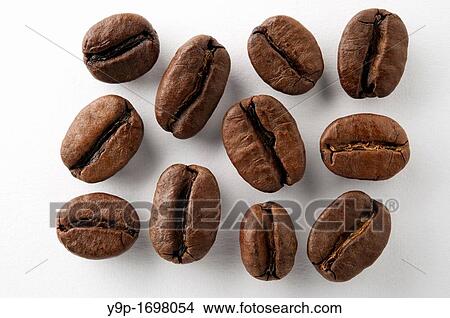 Picture - Coffee Beans on White Background. Fotosearch