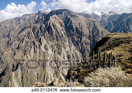 Colca canyon. Andean mountains. Arequipa. Peru. View Large Photo Image Stock Photograph - Colca canyon. Andean mountains. Arequipa. Peru.. Fotosearch