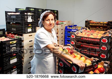 Stock Photo - cold store of hospital food, Kitchen, Hospital Donostia, San Sebastian, Gipuzkoa, Basque Country, Spain. Fotosearch
