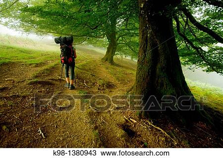 Collado de Zaldegi, GR11 long distance footpath, Baztan Navarra Pyrenees Mountains Spain View Large Photo Image Stock Image - Collado de Zaldegi, GR11 long distance footpath, Baztan Navarra Pyrenees Mountains Spain. Fotosearch