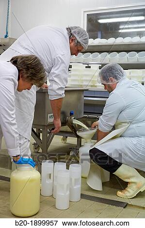 Collecting samples of whey European Project? Valorlact? for the use of whey generated in dairies Sheep farm Gomiztegi Baserria, Arantzazu, Oati, Gipuzkoa, Basque Country, Spain View Large Photo Image Stock Photo - Collecting samples of whey European Project? Valorlact? for the use of whey generated in dairies Sheep farm Gomiztegi Baserria, Arantzazu, Oati, Gipuzkoa, Basque Country, Spain. Fotosearch