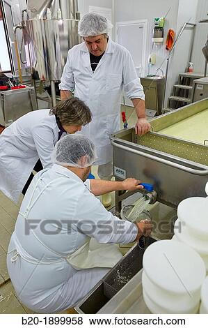 Stock Photo - Collecting samples of whey European Project? Valorlact? for the use of whey generated in dairies Sheep farm Gomiztegi Baserria, Arantzazu, Oati, Gipuzkoa, Basque Country, Spain. Fotosearch