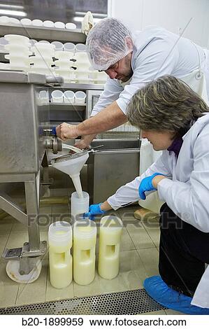Stock Photo - Collecting samples of whey European Project? Valorlact? for the use of whey generated in dairies Sheep farm Gomiztegi Baserria, Arantzazu, Oati, Gipuzkoa, Basque Country, Spain. Fotosearch