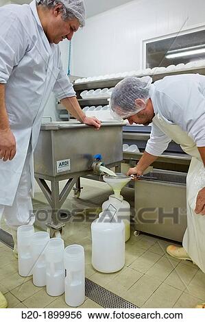 Collecting samples of whey European Project? Valorlact? for the use of whey generated in dairies Sheep farm Gomiztegi Baserria, Arantzazu, Oati, Gipuzkoa, Basque Country, Spain View Large Photo Image Stock Photograph - Collecting samples of whey European Project? Valorlact? for the use of whey generated in dairies Sheep farm Gomiztegi Baserria, Arantzazu, Oati, Gipuzkoa, Basque Country, Spain. Fotosearch