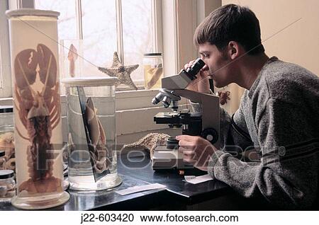 Stock Image - College student in biology lab. Fotosearch