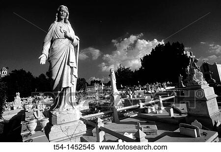Colon Cemetery in Havana View Large Photo Image Stock Photography - Colon Cemetery in Havana. Fotosearch
