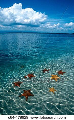 Stock Photo - Colon Island. Bocas del Toro. Panama.. Fotosearch