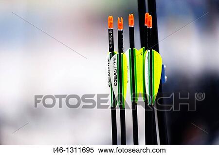 Stock Photography - Colored arrows for archery. Fotosearch