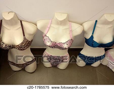 colored brasieres and pants, underwear, for sale on plastic models View Large Photo Image Stock Photography - colored brasieres and pants, underwear, for sale on plastic models. Fotosearch