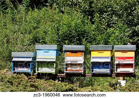 Colored hives on the path from Valsavarenche to the Refuge Vittorio Emanuele II, 2735m, National Park, Natural Park, Gran Paradiso, Val d? Aosta, Italy. View Large Photo Image Stock Photograph - Colored hives on the path from Valsavarenche to the Refuge Vittorio Emanuele II, 2735m, National Park, Natural Park, Gran Paradiso, Val d? Aosta, Italy.. Fotosearch