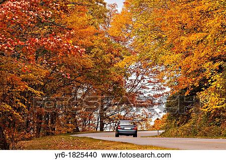 Stock Image - Colorful autumn foliage as leaves change colors along the Blue Ridge National Park near Asheville, North Carolina. Fotosearch
