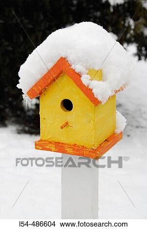 Colorful bird house after a winter snow fall View Large Photo Image Picture - Colorful bird house after a winter snow fall. Fotosearch