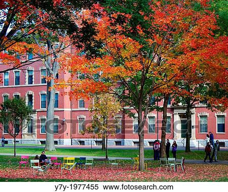 Stock Photography - Colorful fall foliage in Harvard Yard, the old heart of the campus of Harvard University in Cambridge, MA, USA.. Fotosearch