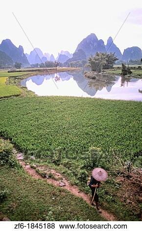 Colorful scenic of famer and Li River in Guilin China View Large Photo Image Stock Photo - Colorful scenic of famer and Li River in Guilin China. Fotosearch