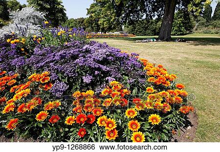 Stock Photograph - Colourful flowerbeds in Hyde Park, London, UK. Fotosearch