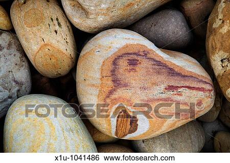 Stock Photograph - Colourful Stones on The Beach at Hayburn Wyke near Scarborough Yorkshire England. Fotosearch