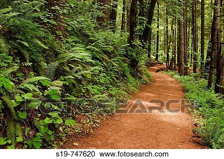Stock Image - Columbia River Gorge, Oregon, USA. Fotosearch