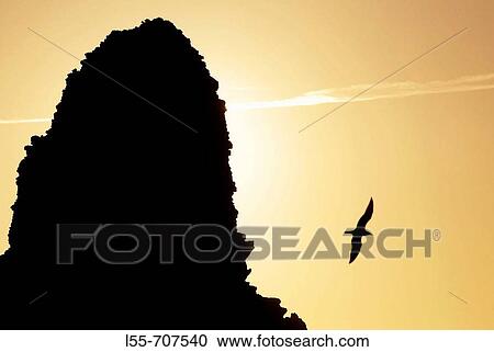 Columbretes Islands in Castellon province. Comunidad Valenciana, Spain View Large Photo Image Stock Image - Columbretes Islands in Castellon province. Comunidad Valenciana, Spain. Fotosearch