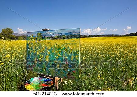 Colza field. Barcelona, Spain. View Large Photo Image Stock Image - Colza field. Barcelona, Spain.. Fotosearch