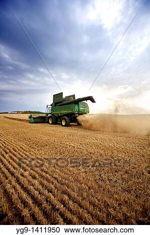 Stock Image - Combine-harvester on a field of wheat. Fotosearch